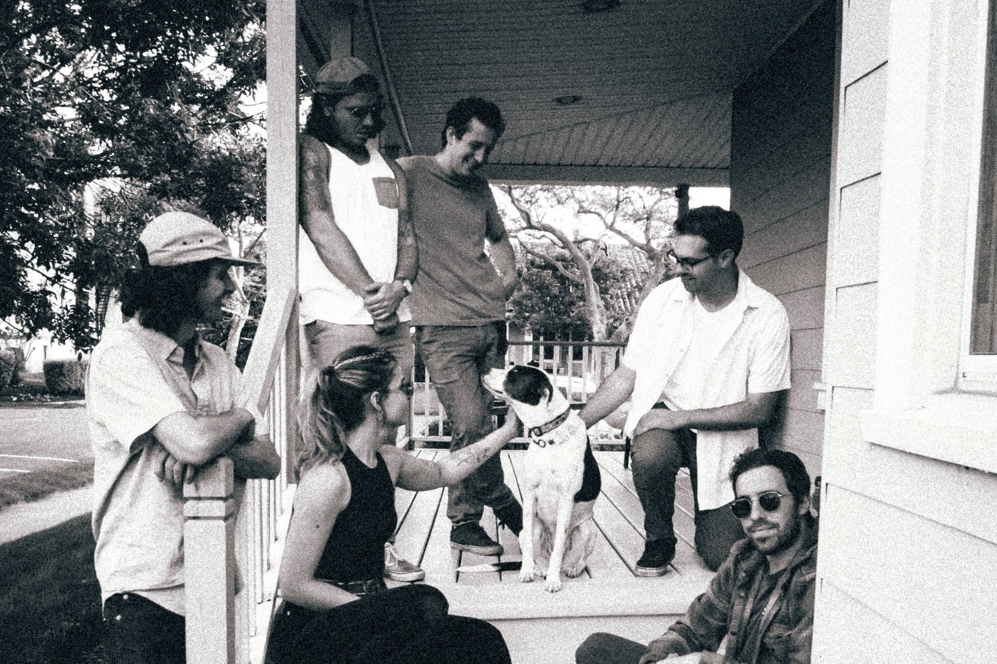 GRR Music Surfing for Daisies