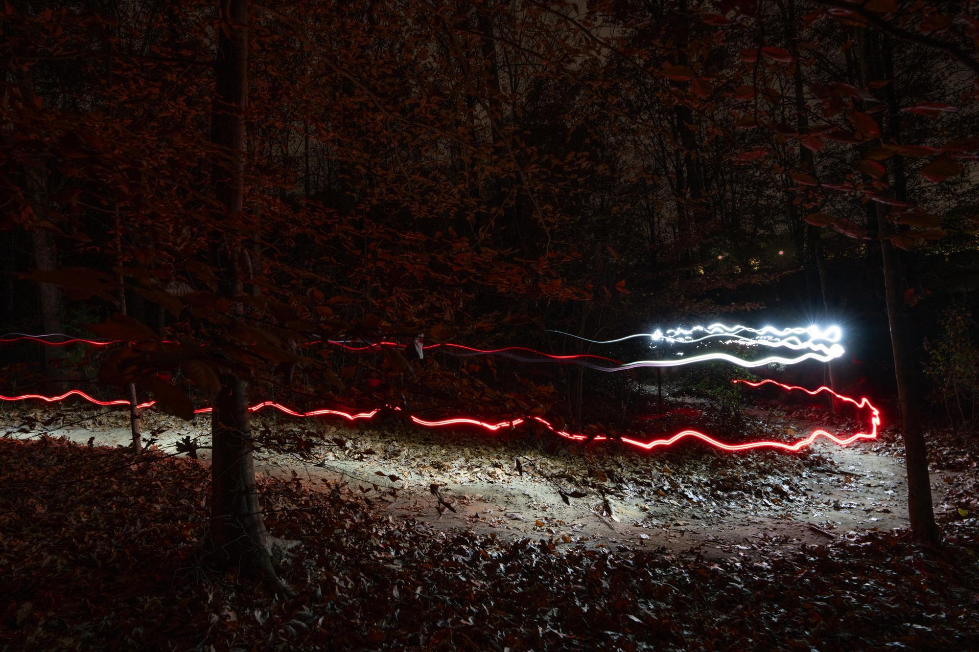 A Shot in the Dark 2023 - Sean Richard