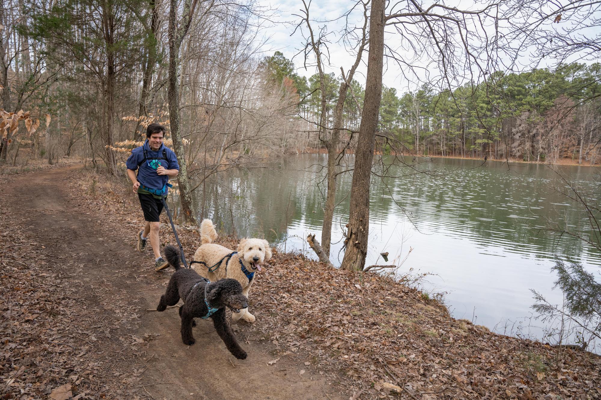Dog Days of Winter 2023Dog Days of Winter 2023 - Taylor Longwell