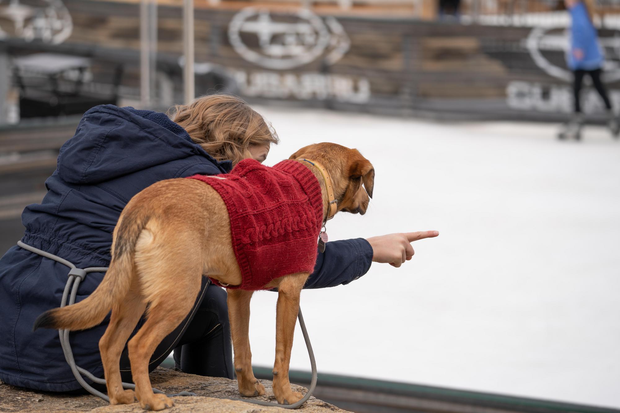 Dog Days of Winter 2023Dog Days of Winter 2023 - Taylor Longwell