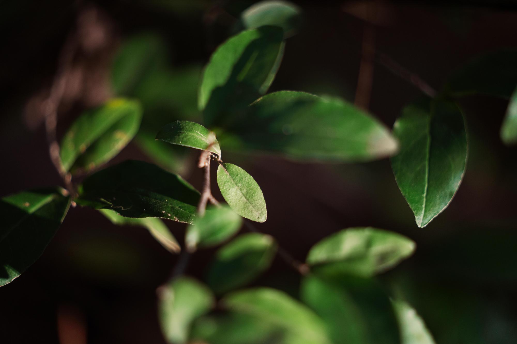 WC-50 2022 - Sean Richard