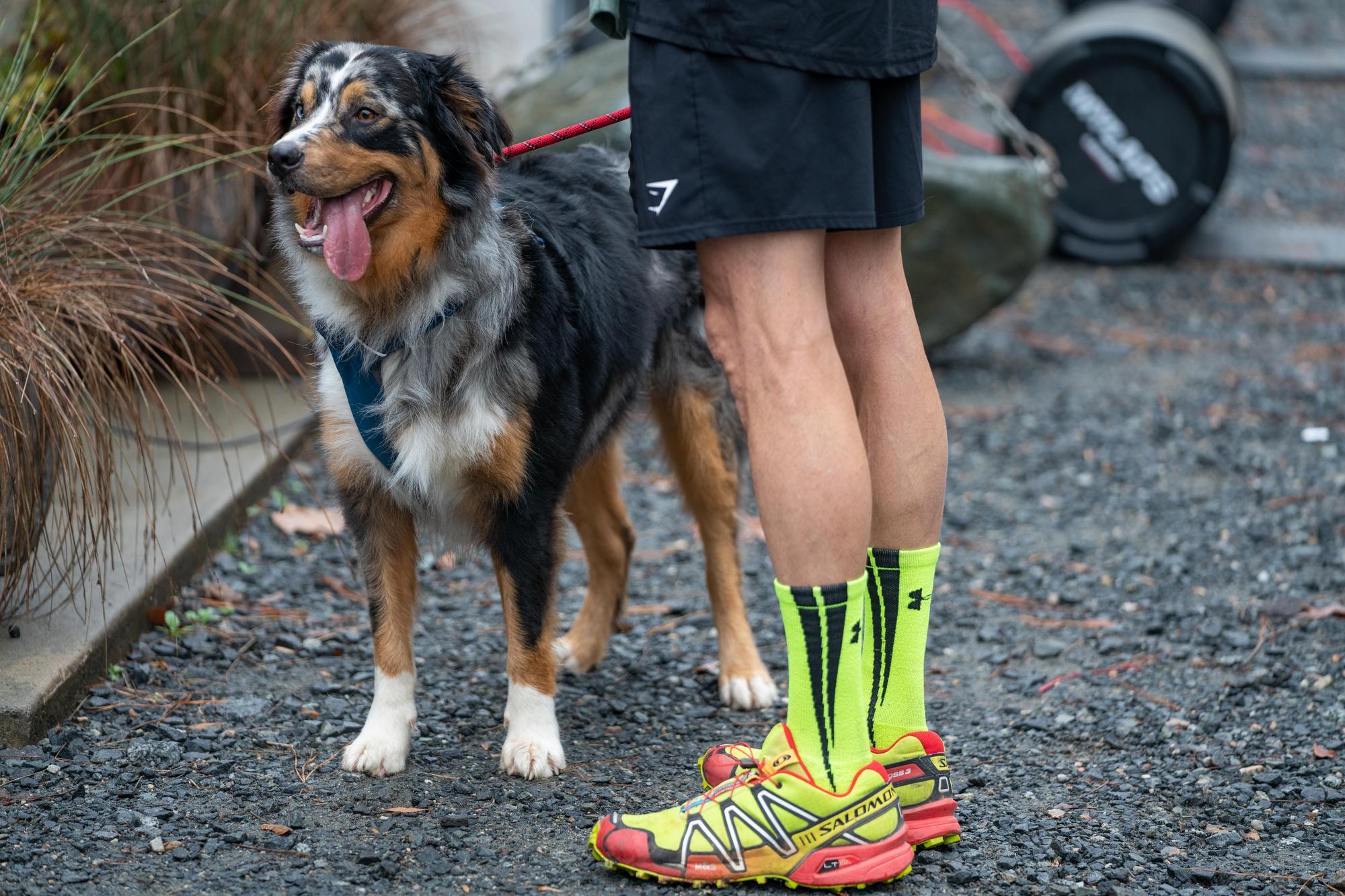 We Believe. Santa 5K & Dog Jog 2021