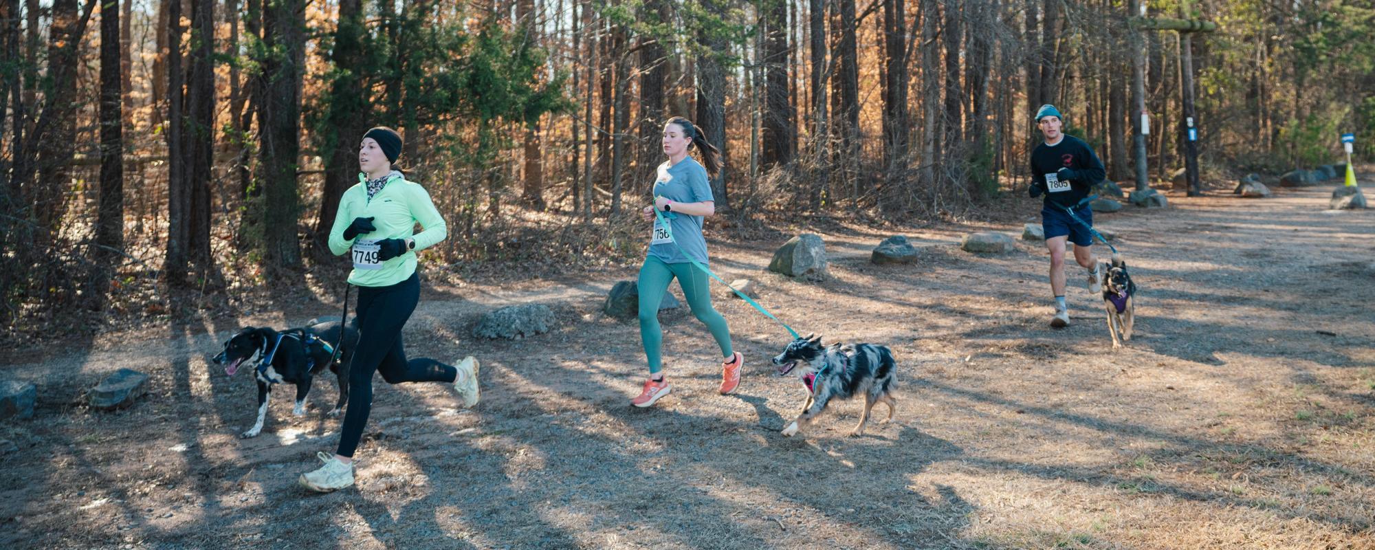 2026 Dog Days of Winter