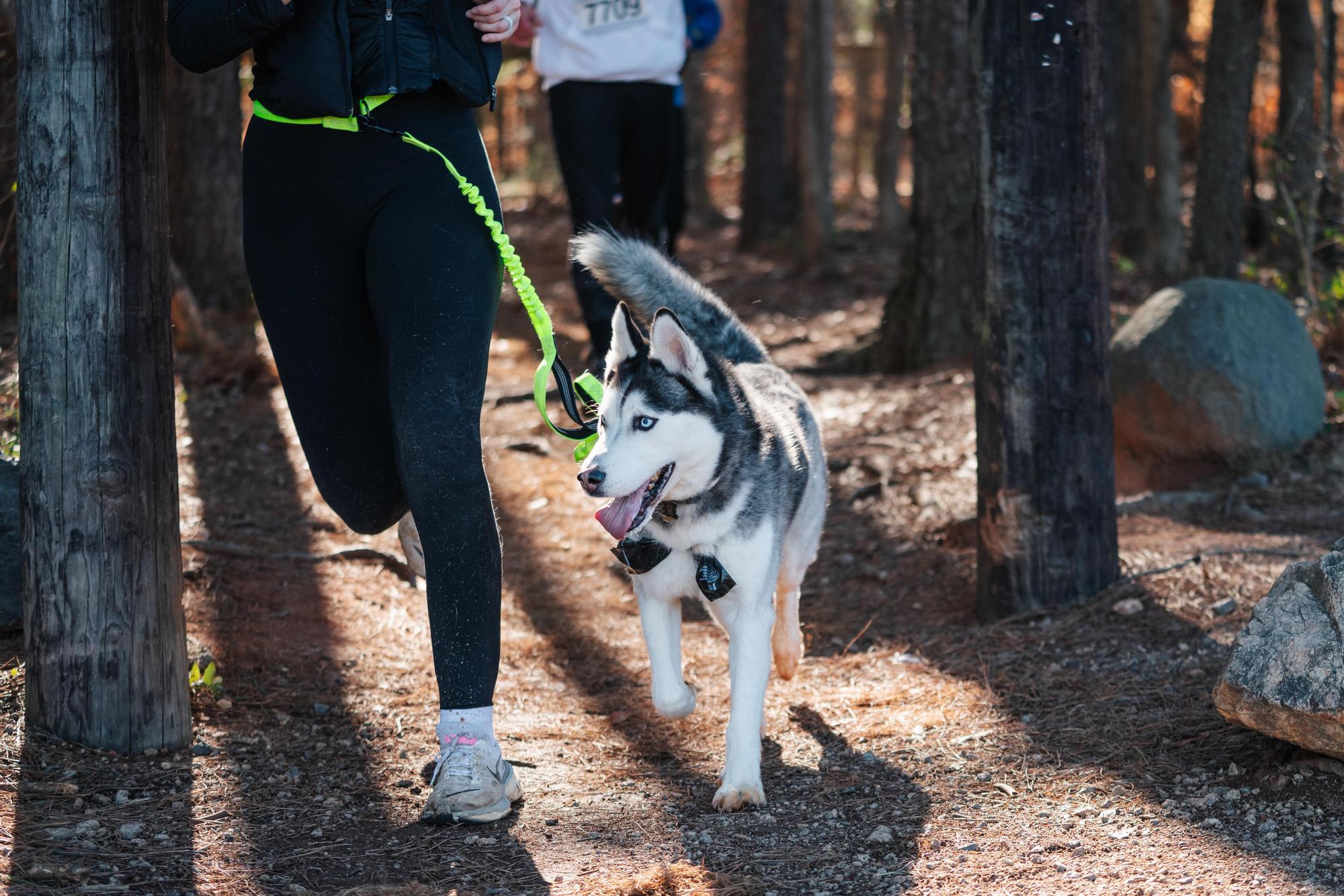 2026 Dog Days of Winter