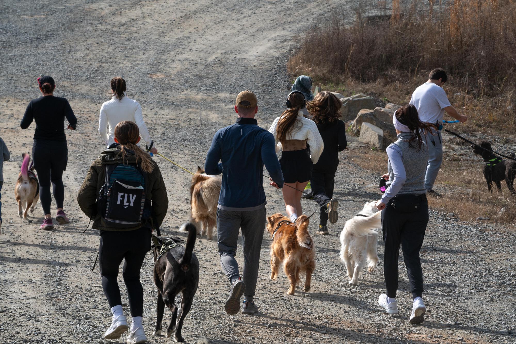 Dog Days of Winter 2024 - Sean Richard