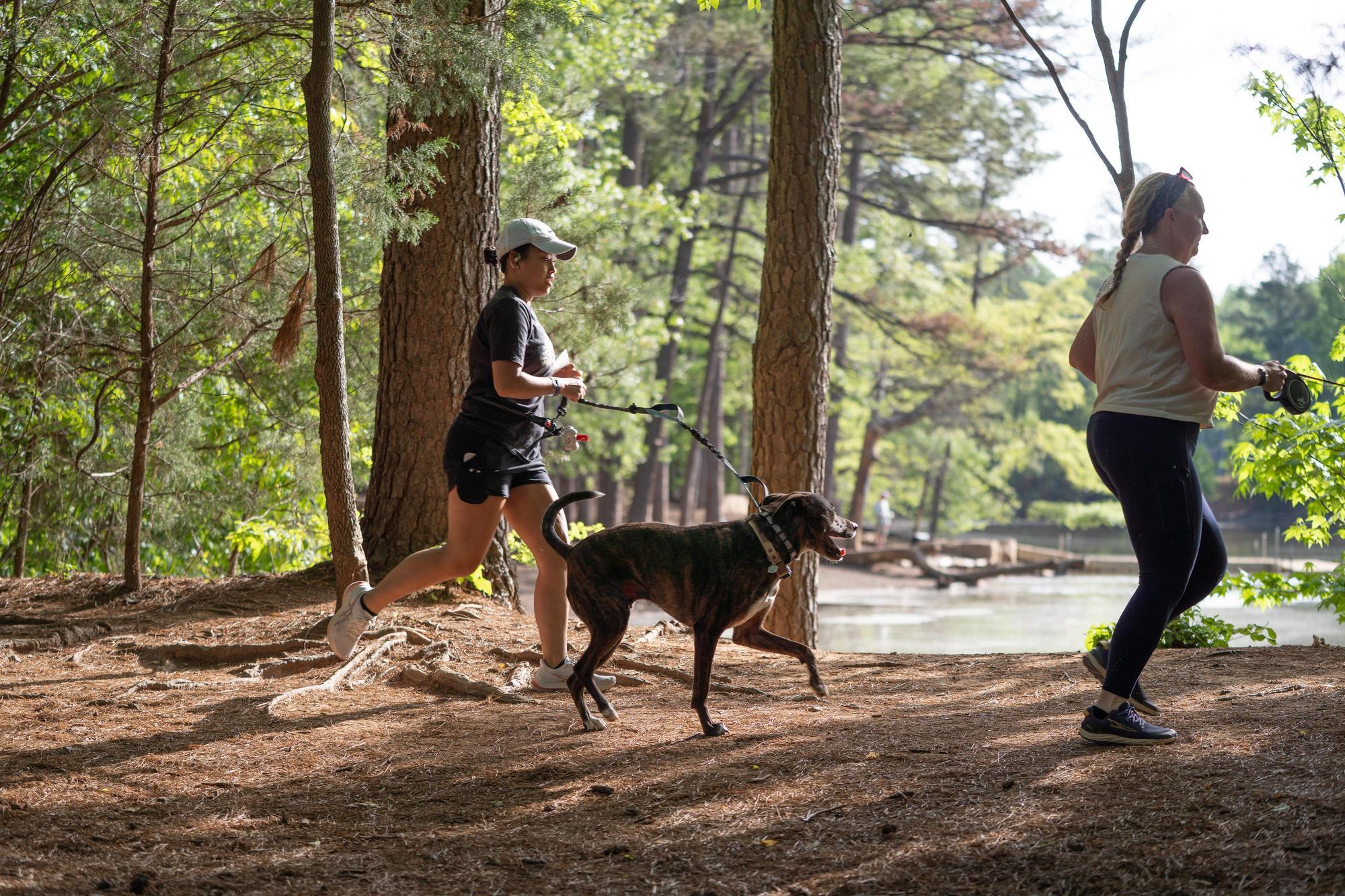 Tuck Fest 2025 - Sean Richard