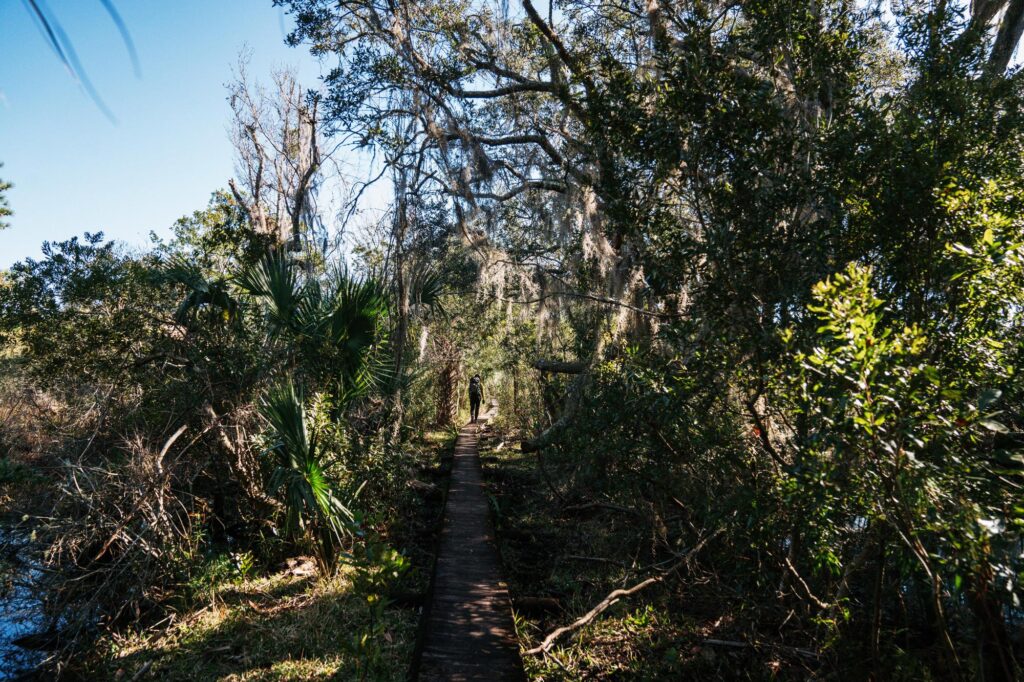 Cumberland Island Bikepacking - Emily Cameron