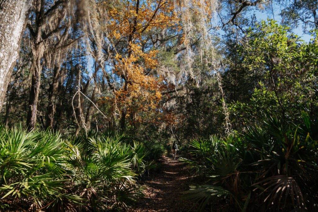 Cumberland Island Bikepacking - Emily Cameron