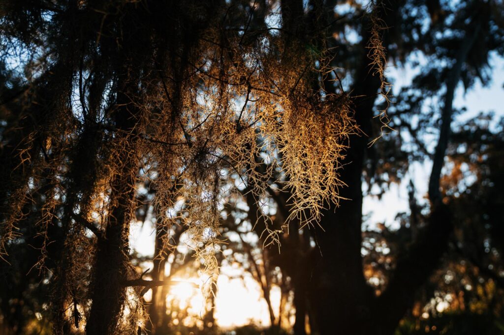 Cumberland Island Bikepacking - Emily Cameron