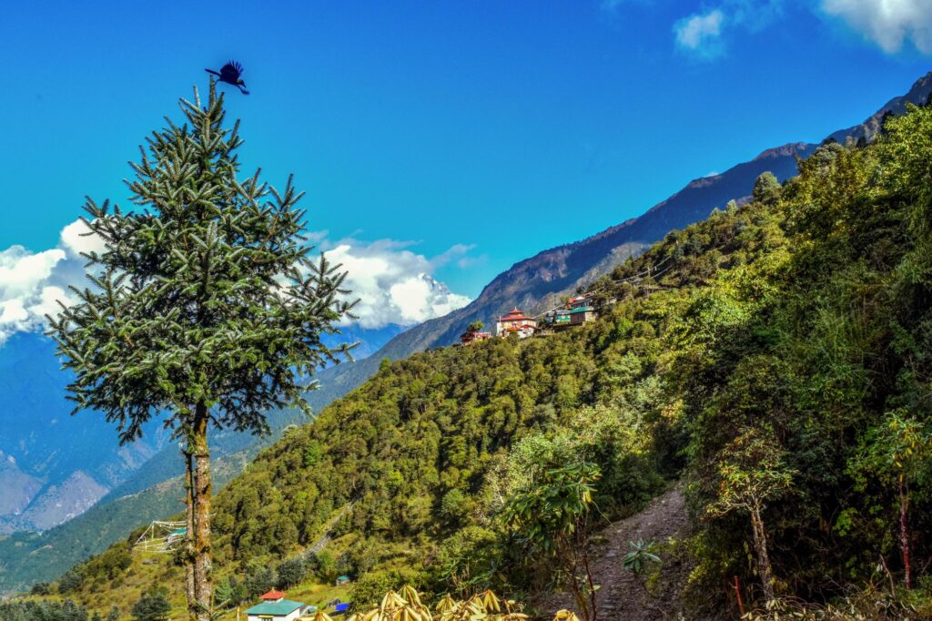Himalayan Backpacking - Anson Walldorf