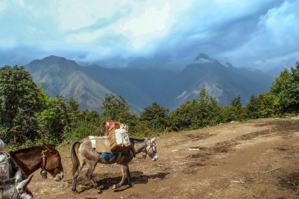Himalayan Backpacking - Anson Walldorf