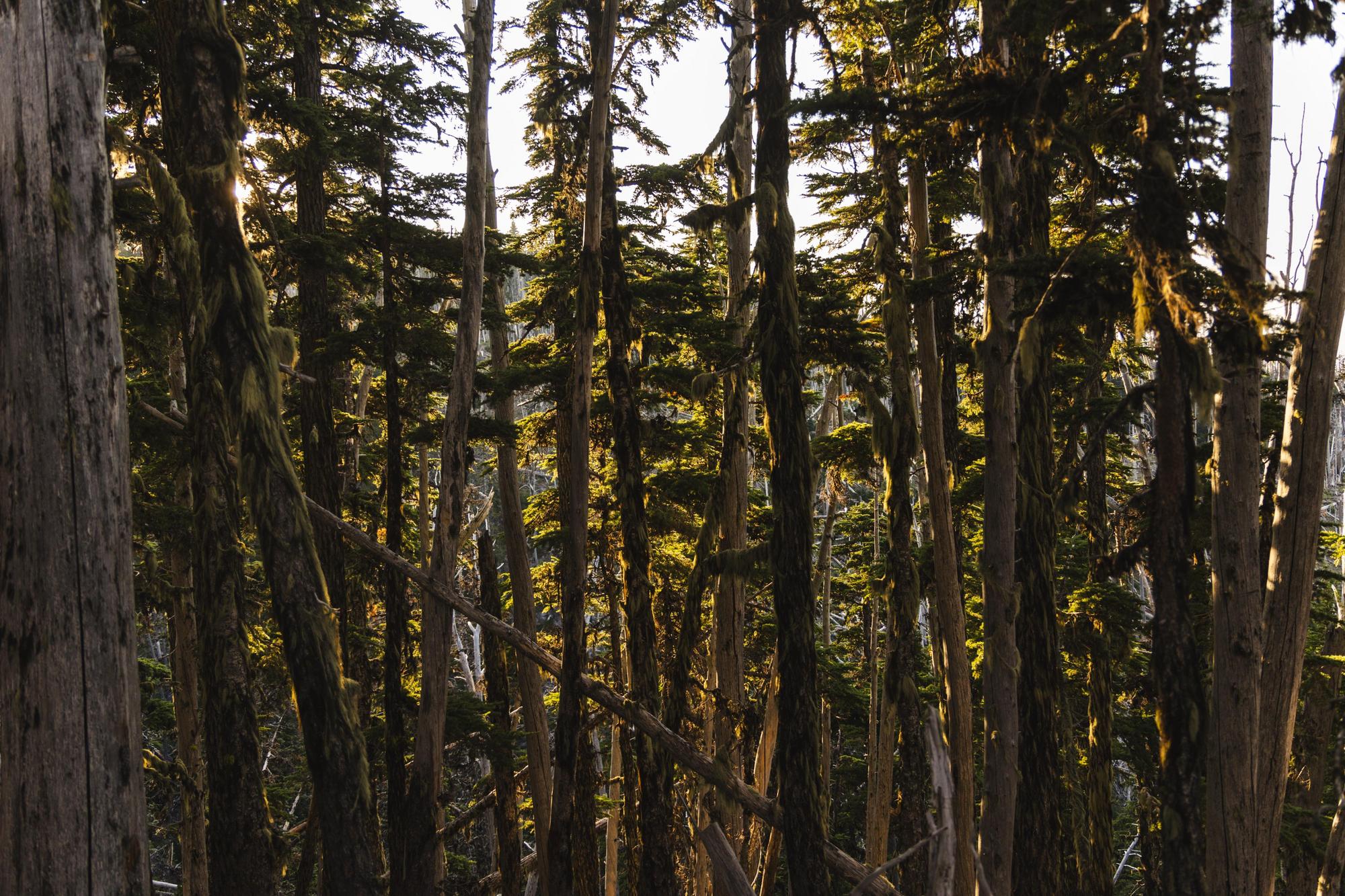 Fastpacking - Whitewater Stories Photos