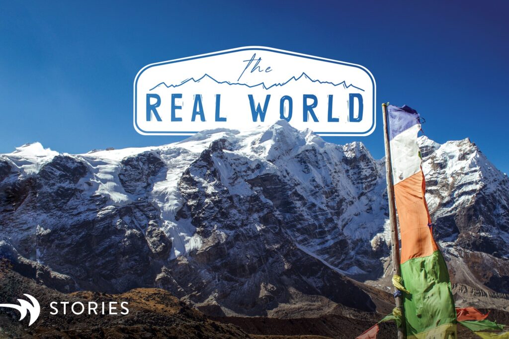 The Real World