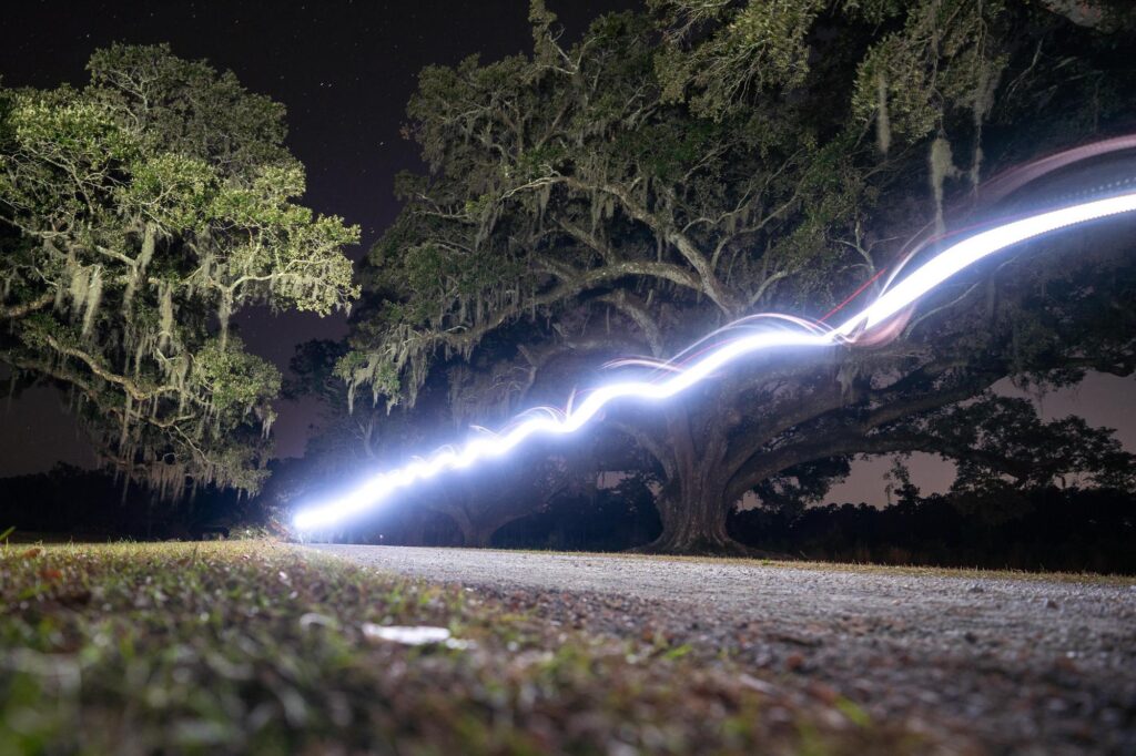 2025 A Shot in the Dark - Middleburg