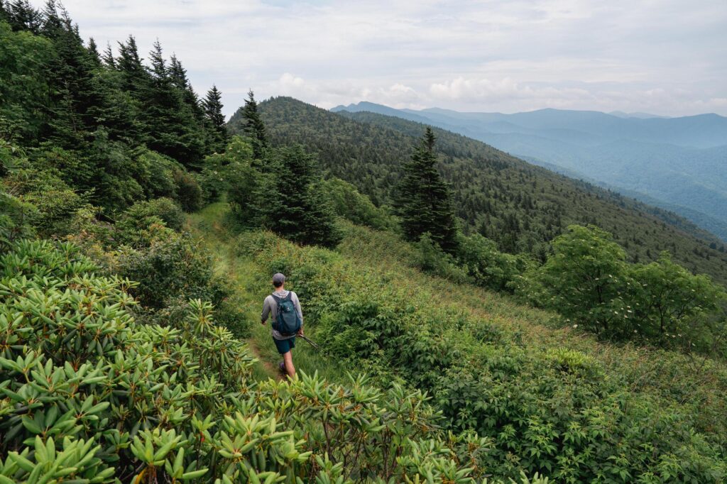 Black Mountain Crest Trail - Samuel Martin '23