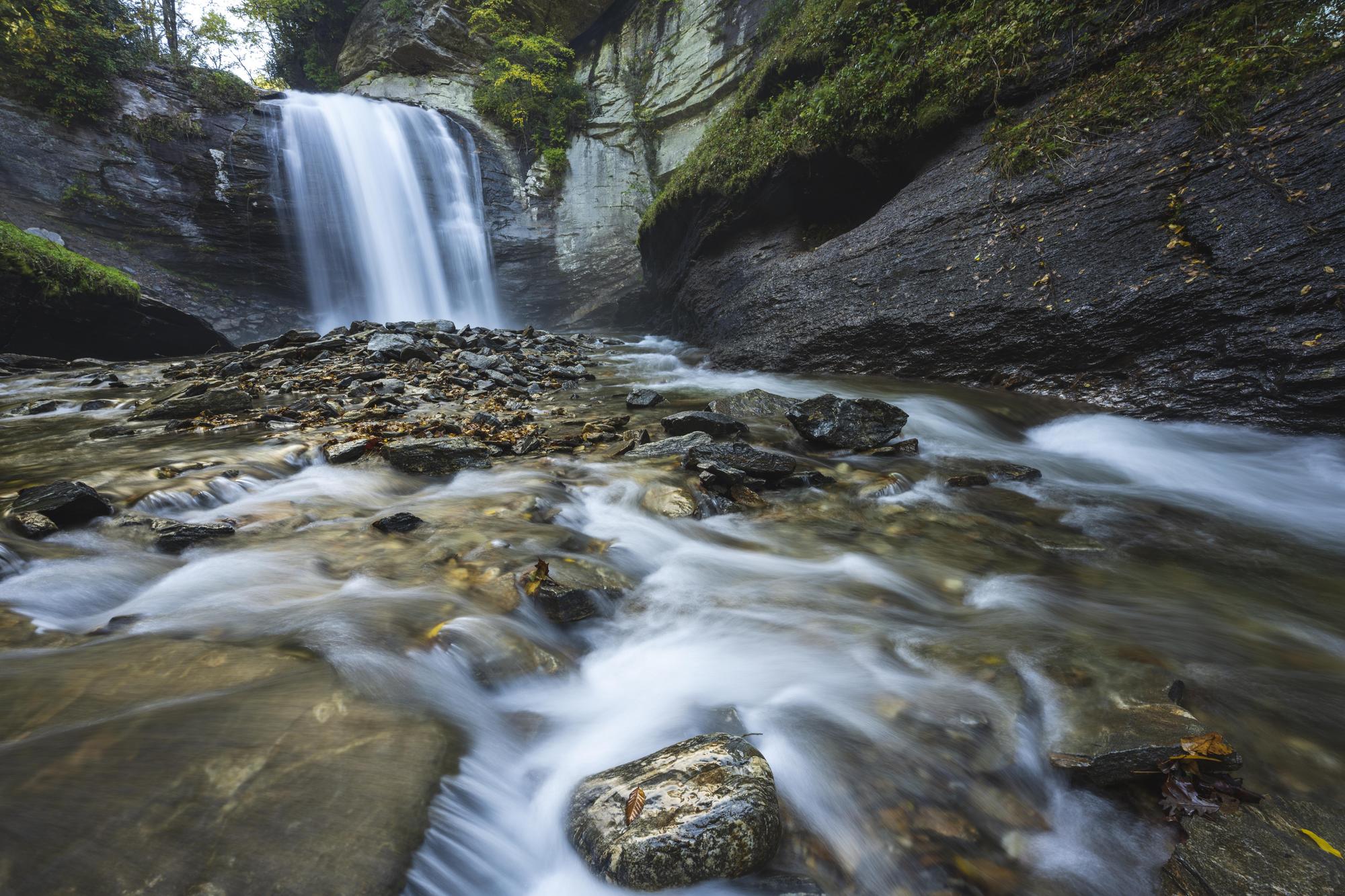 Pisgah National Forest and Big Creek Lodge