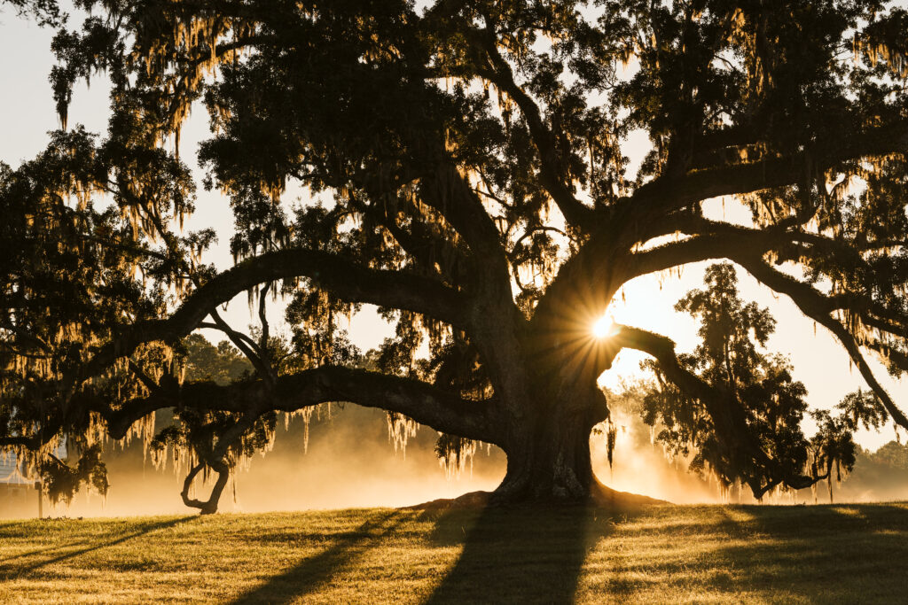 Middleburg Landscape Pictures