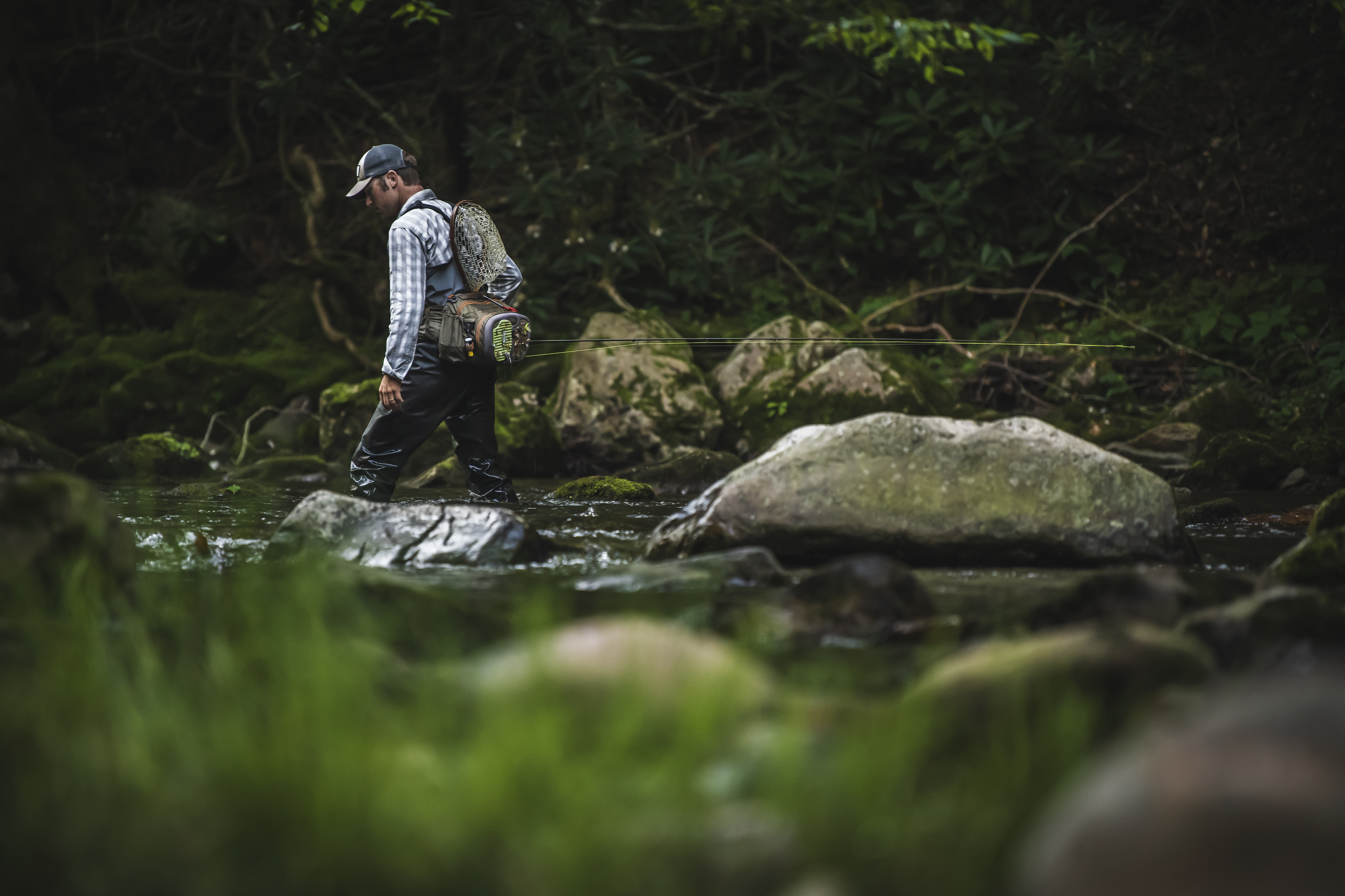 Whitewater Grayson Fly Fishing