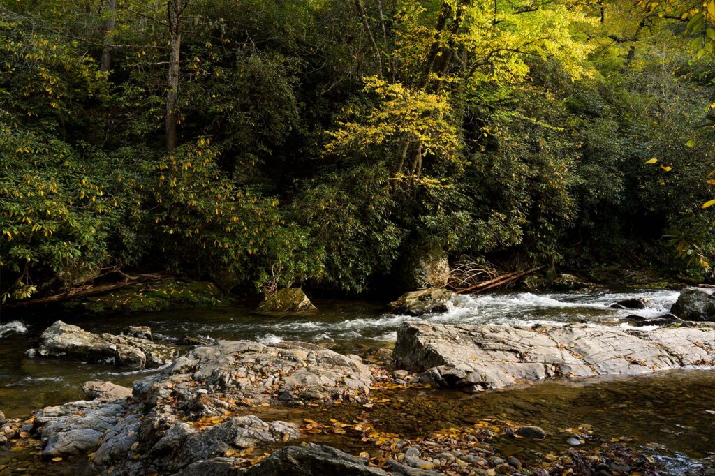 fishing-big-creek (4)