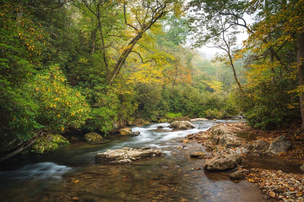 fishing-big-creek (5)