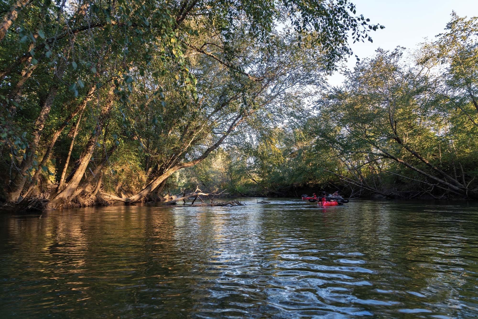 flatwater-big-creek (6)