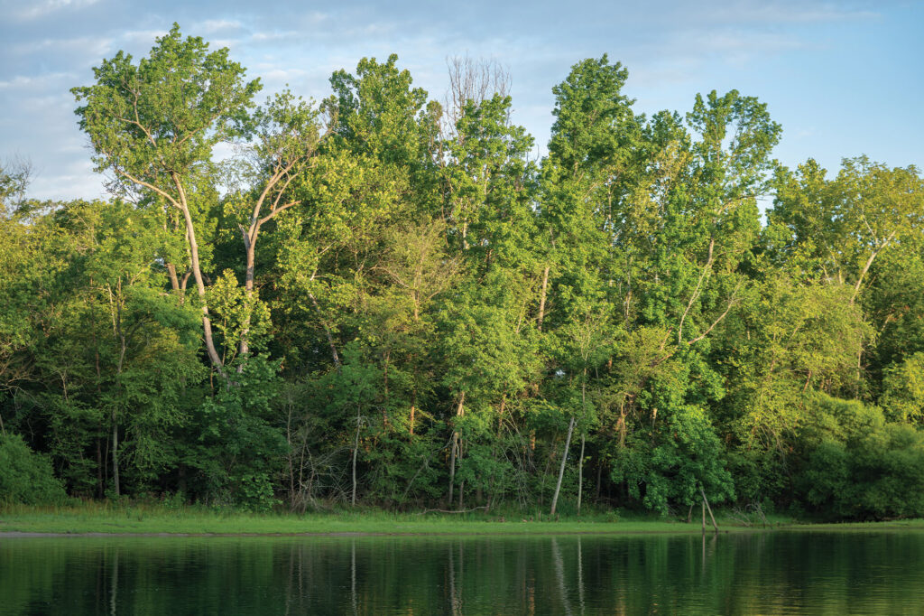 flatwater-big-creek (7)
