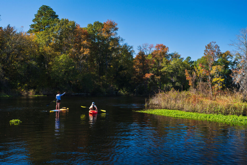 flatwater-paddling (6)