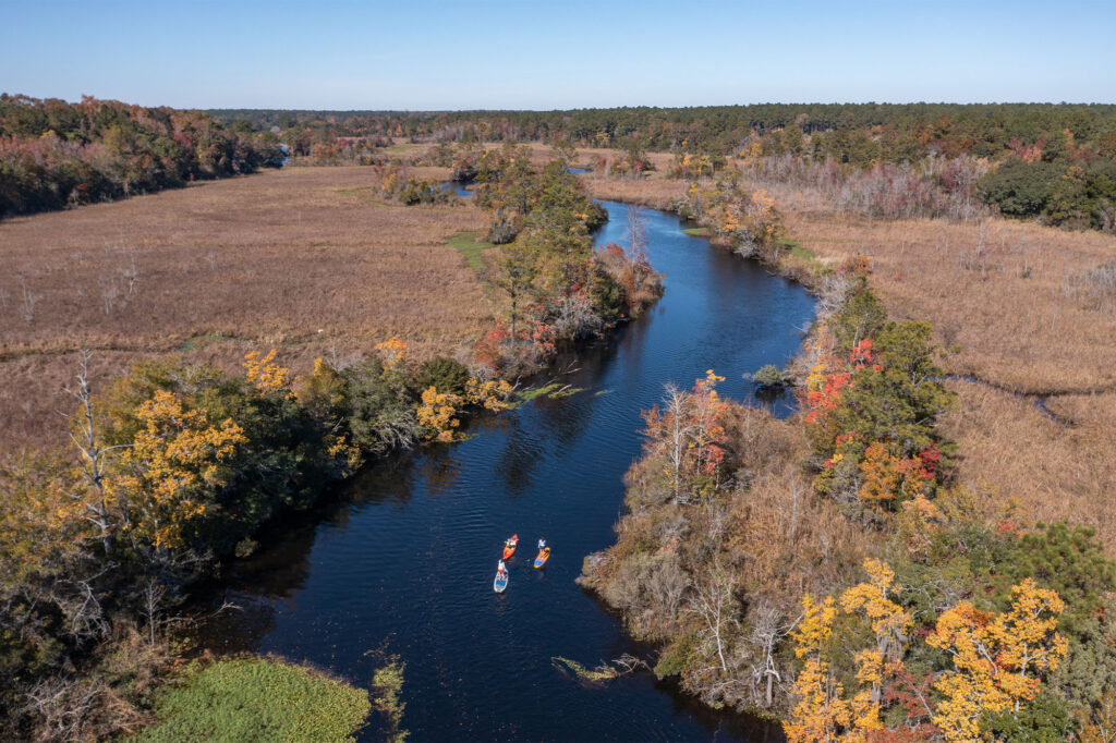 flatwater-paddling (8)