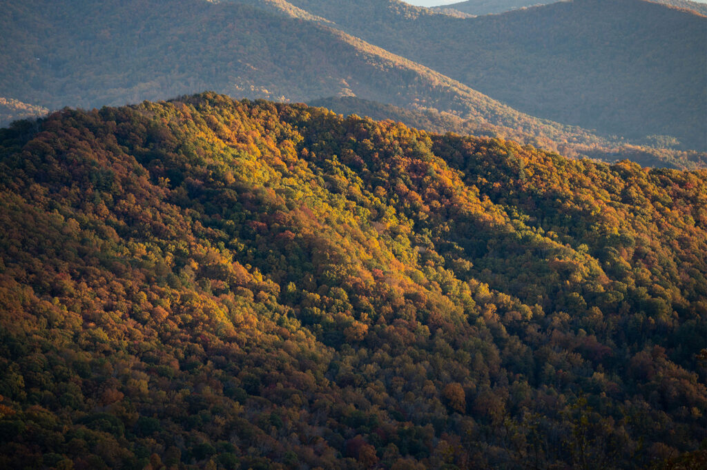 hiking-big-creek (6)