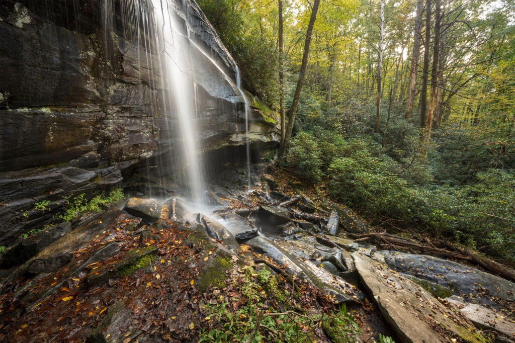 hiking-big-creek (7)