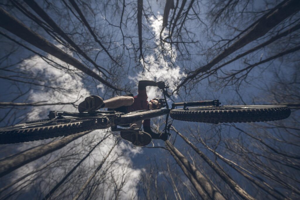 Mountain biking in the Pisgah National Forest