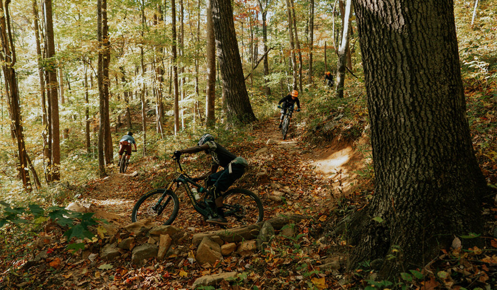 mountain-biking-big-creek (4)