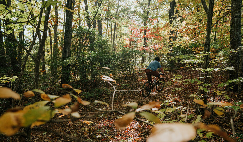 mountain-biking-big-creek (6)