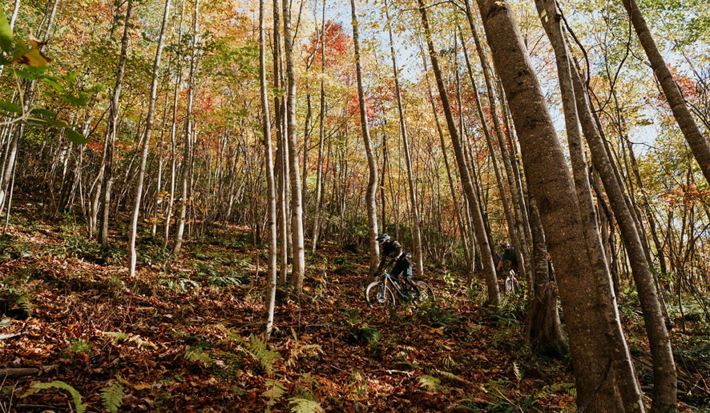 mountain-biking-big-creek (7)