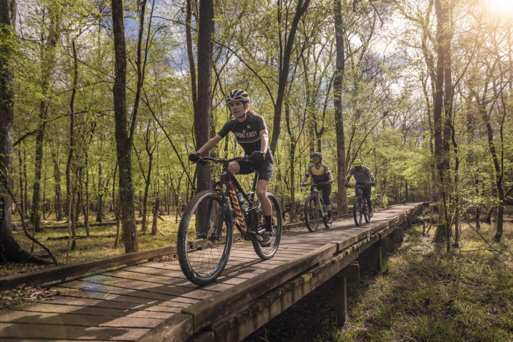 Francis Marion National Forest Middleburg Plantation