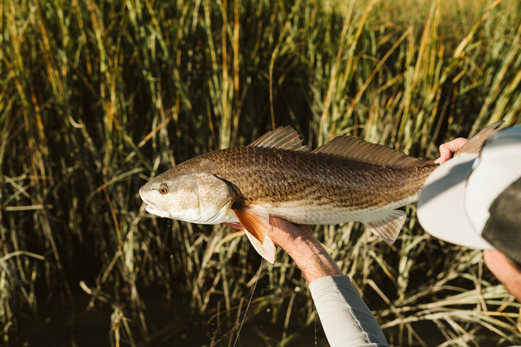 Middleburg Fishing