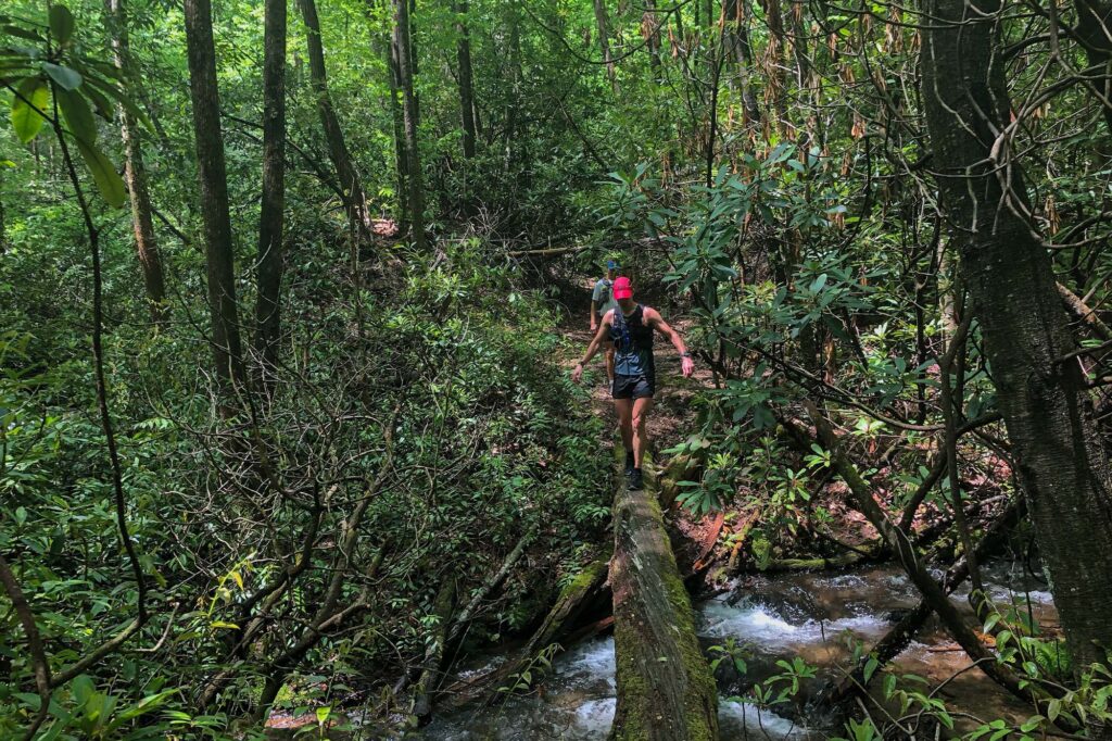 trail-running-big-creek (5)