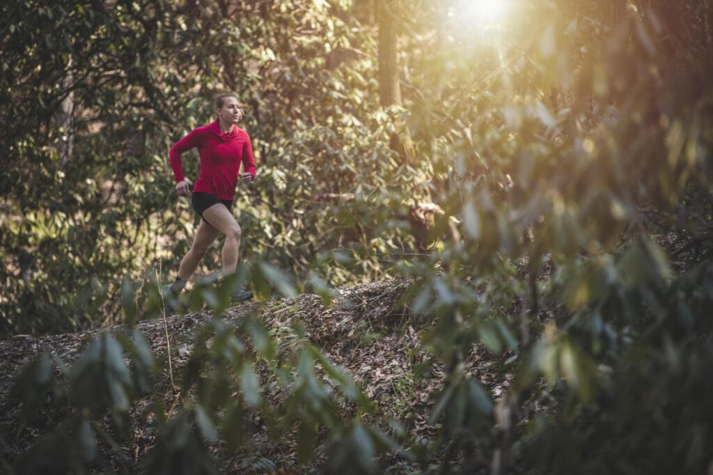 Trail running in the Pisgah National Forest