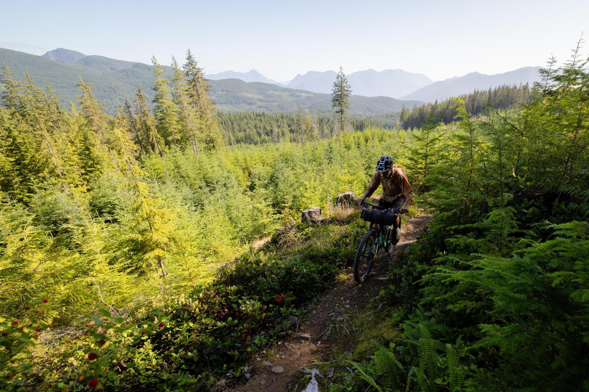 Bikepacking in British Colombia - Jess Daddio (Whitewater Stories)