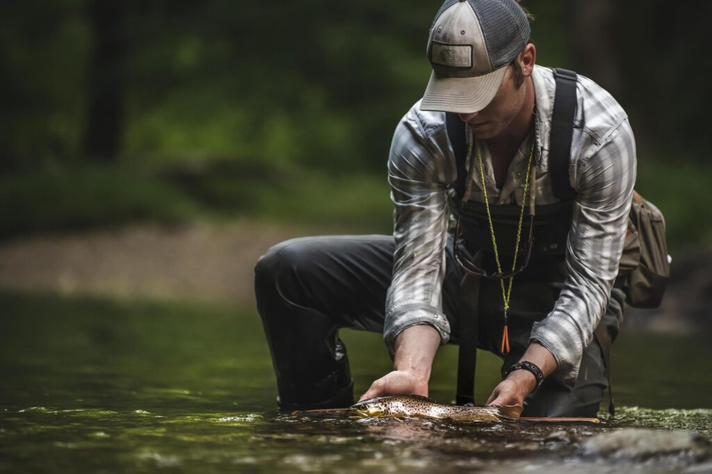Whitewater Grayson Fly Fishing