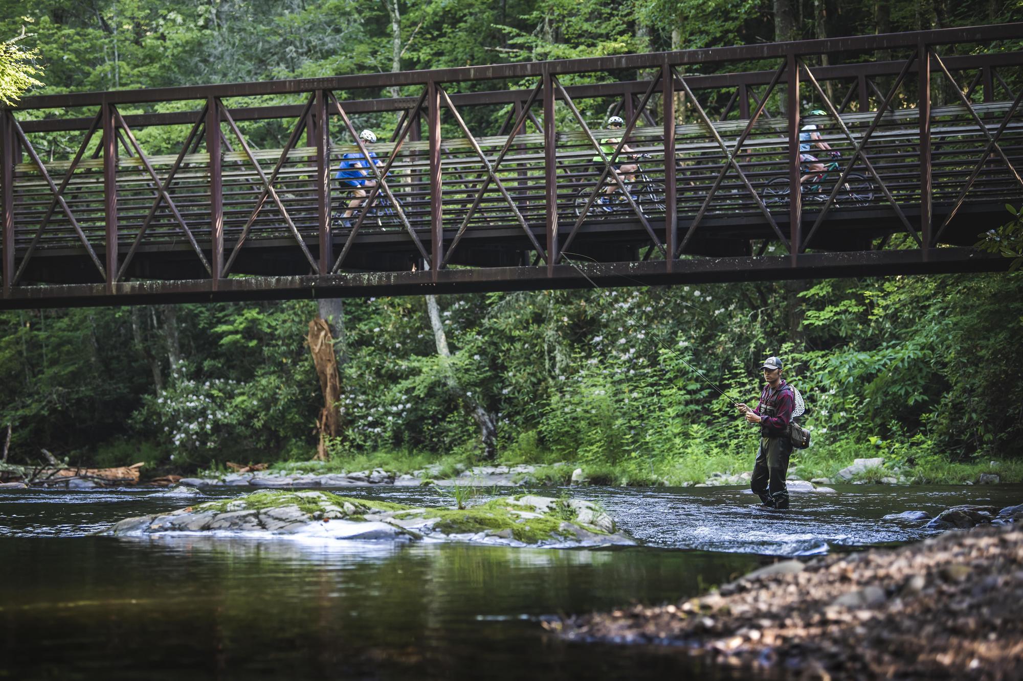 Whitewater Grayson Fly Fishing