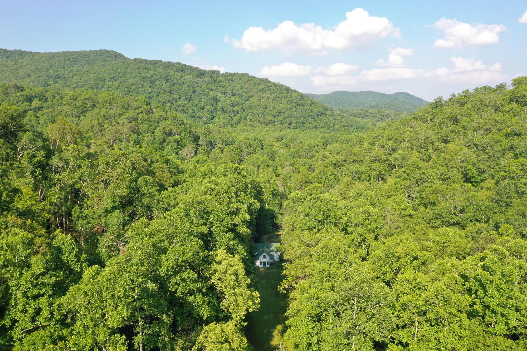 Big Creek Lodge Drone Stills (June 2025) - Sean Richard