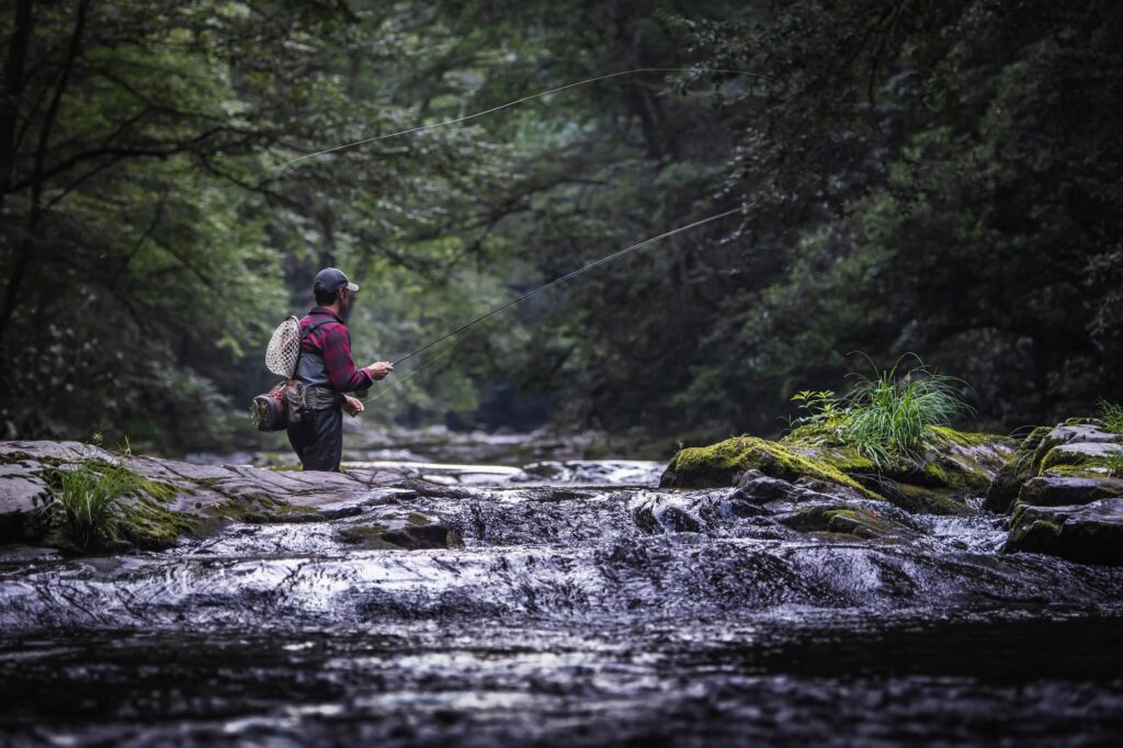 Whitewater Grayson Fly Fishing