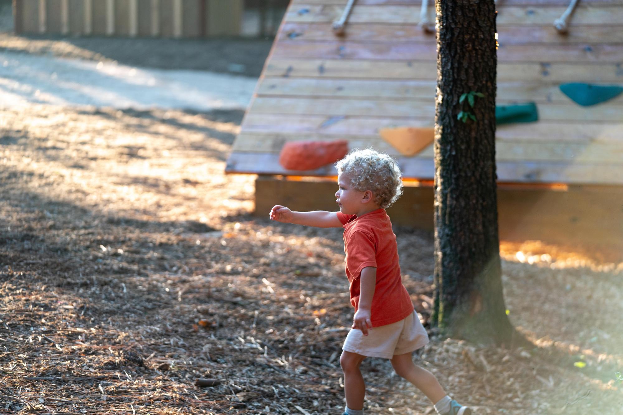 July 2024 Wildwoods - Sean Richard