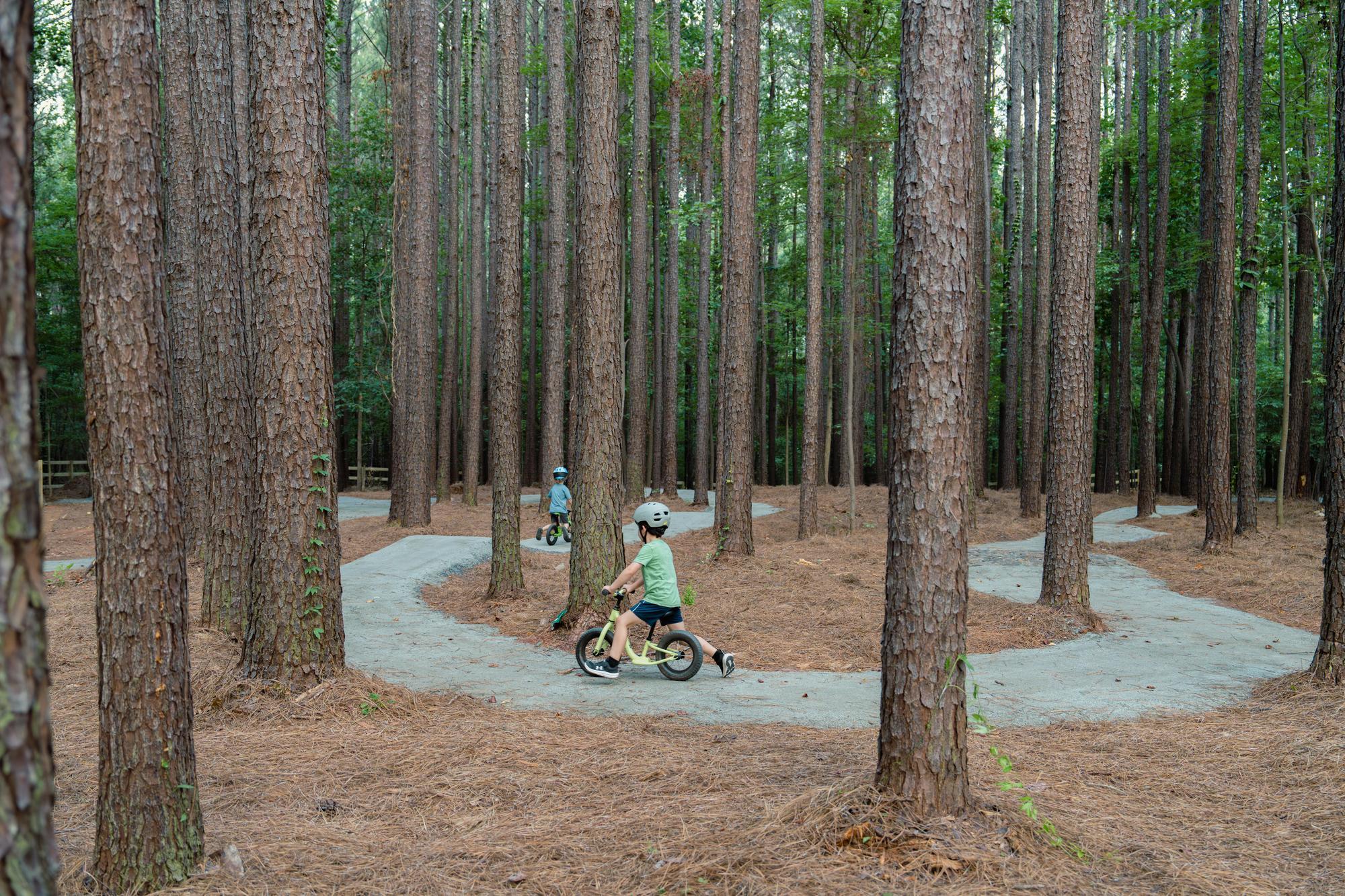 July 2024 Wildwoods - Samuel Martin