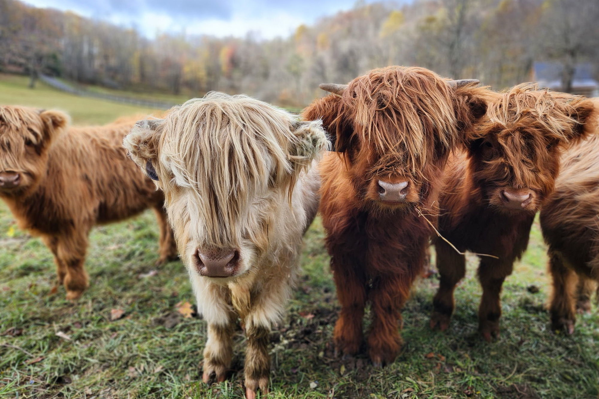 4508721613049569881-2