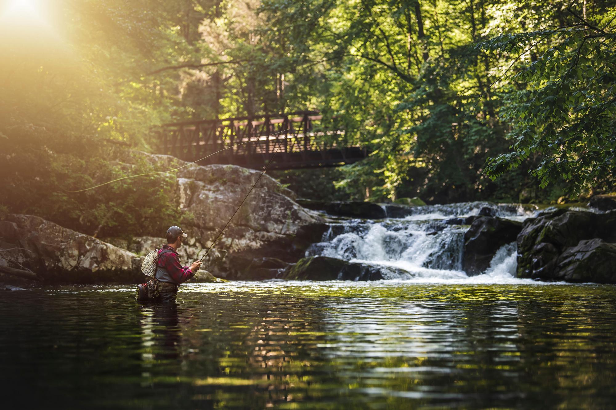 Whitewater Grayson Fly Fishing