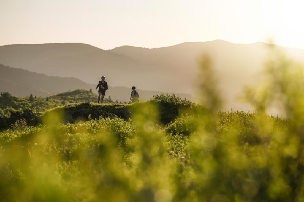 Pisgah Trail Running - Fixed Line Media