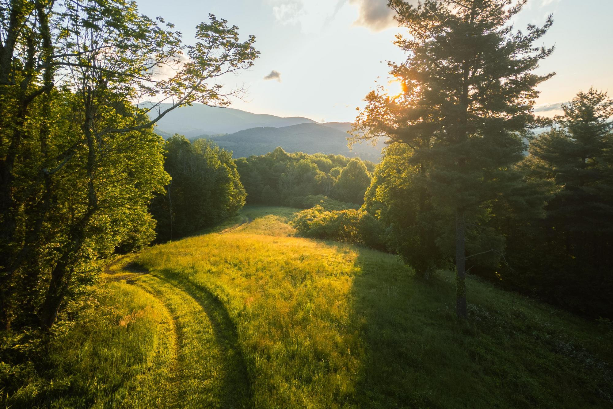June 2024 Pond Mountain Cabins (Windfall) - Samuel Martin