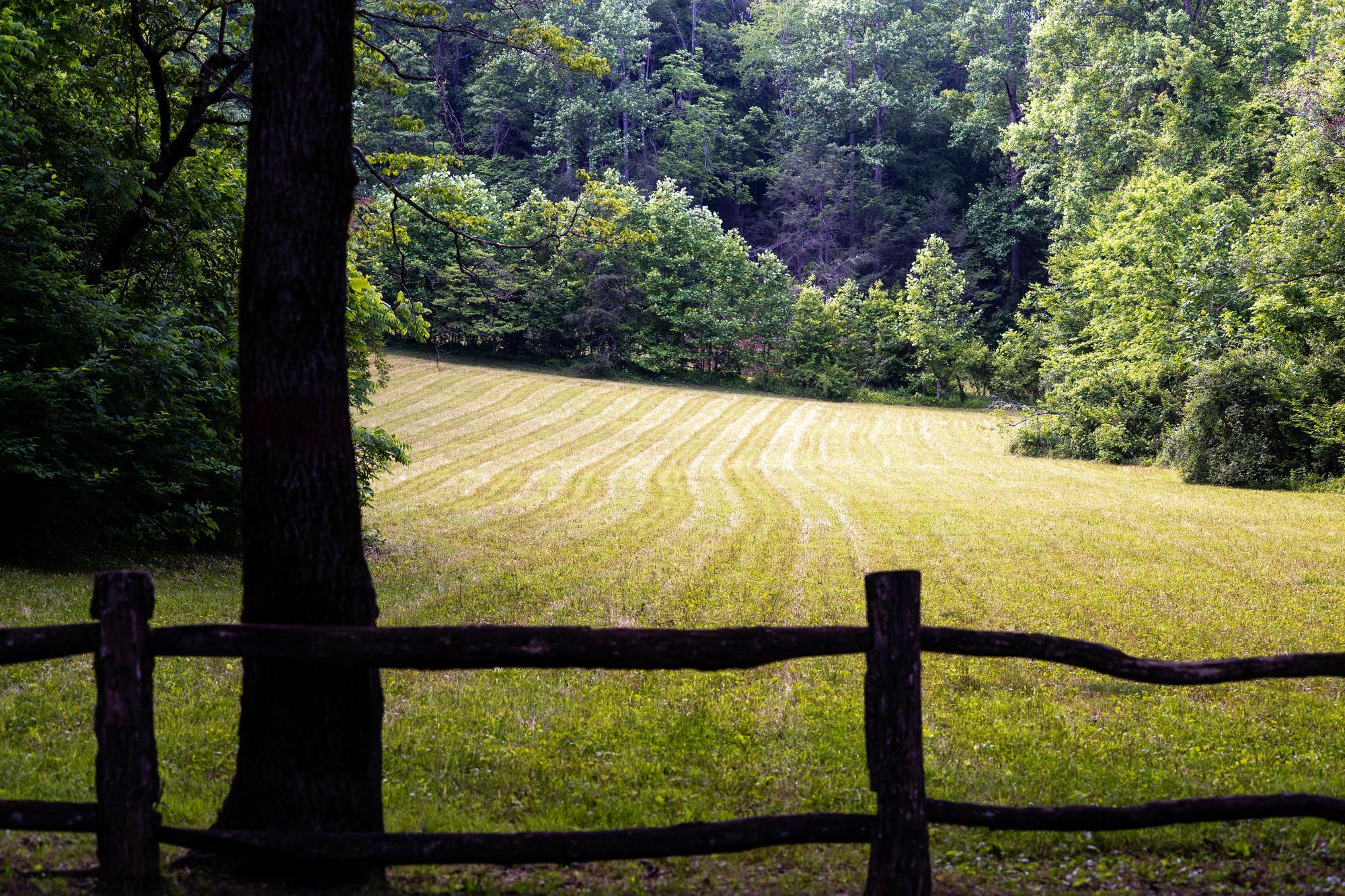 Big Creek Lodge (June 2025) - Sean Richard
